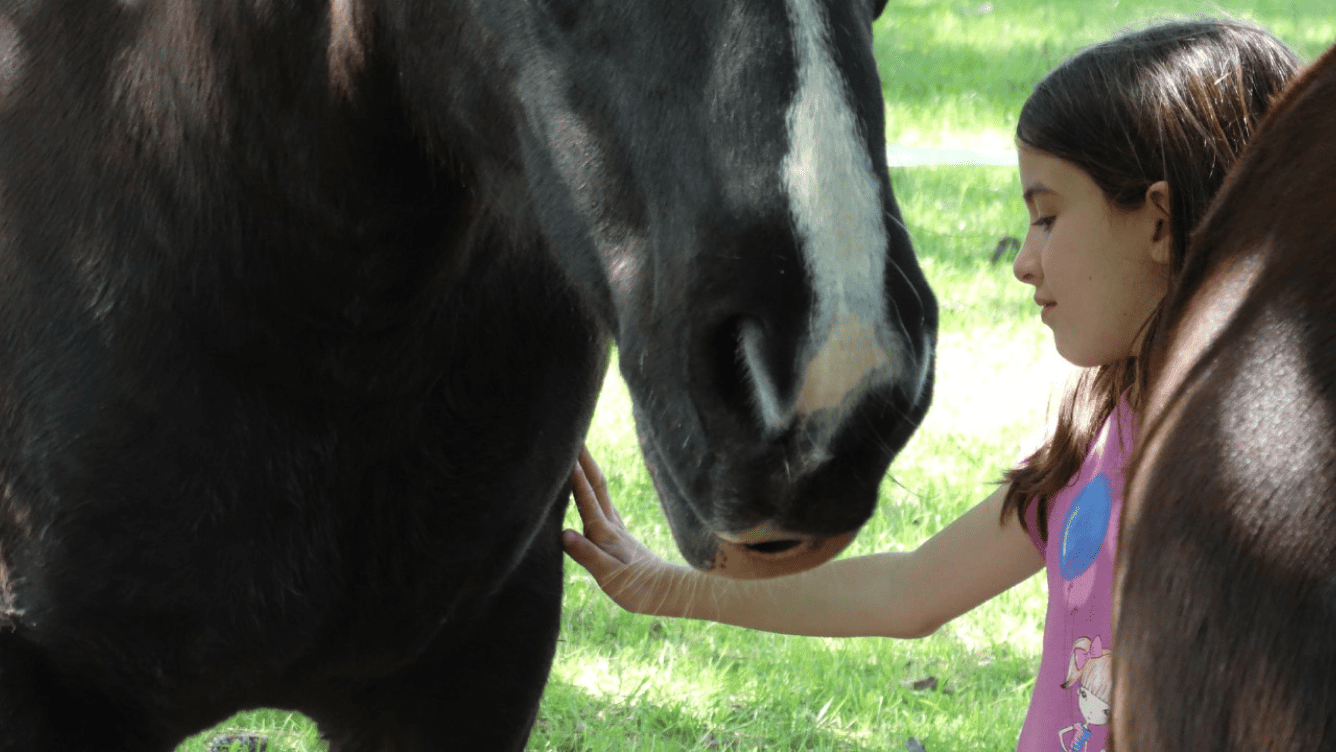 Caballo junto a una niña