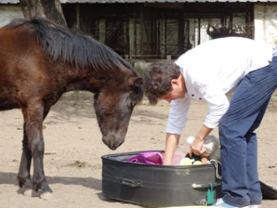 hombre junto a un caballo
